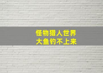 怪物猎人世界 大鱼钓不上来